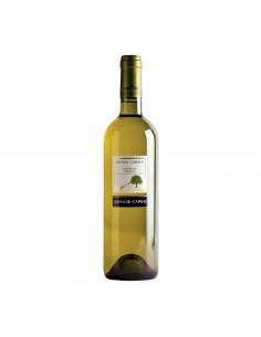 GRECHETTO ANIMA UMBRA 75cl 2025 - CAPRAI ARNALDO