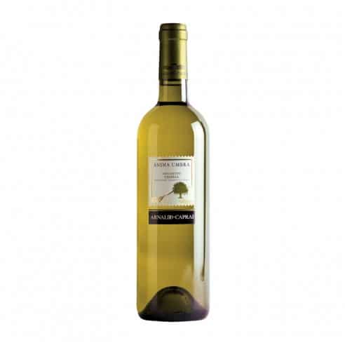 GRECHETTO ANIMA UMBRA 75cl 2025 - CAPRAI ARNALDO
