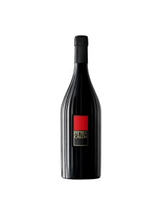 FIANO D'AVELLINO PIETRACALDA 75cl 2024 - FEUDI DI SAN...