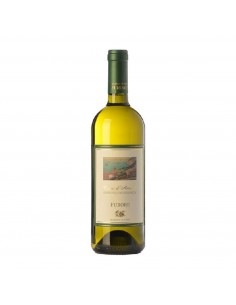 FURORE BIANCO 75cl 2025 - CUOMO
