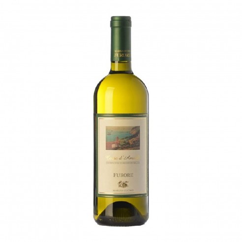FURORE BIANCO 75cl 2025 - CUOMO