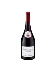 PINOT NOIR DOMAINE DE VALMOISSINE 75cl 2024 - LATOUR LOUIS