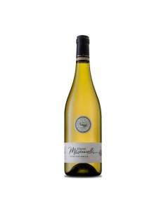 TREBBIANO D'ABRUZZO GIANNI 75cl 2025 - MASCIARELLI