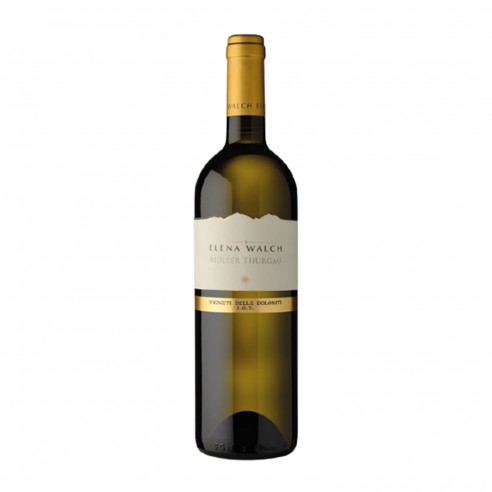 MULLER THURGAU 75cl 2025 - WALCH ELENA