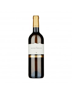 SAUVIGNON 75cl 2025 - WALCH ELENA