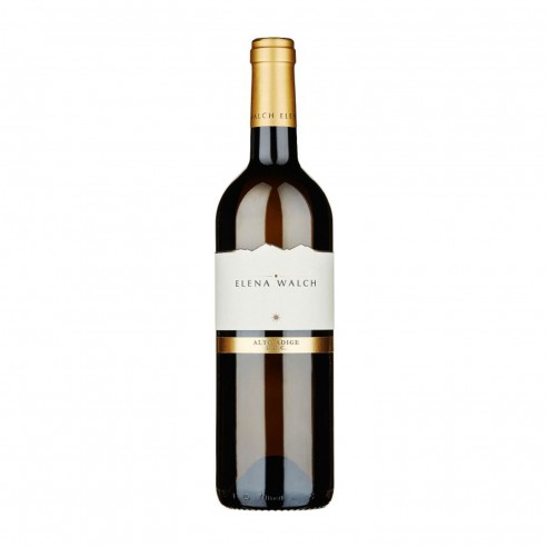 SAUVIGNON 75cl 2025 - WALCH ELENA
