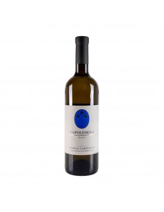 COLLESANTI BELLONE bio 75cl 2024 - CARPINETI MARCO