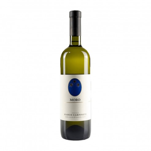MORO bio 75cl 2024 - CARPINETI MARCO