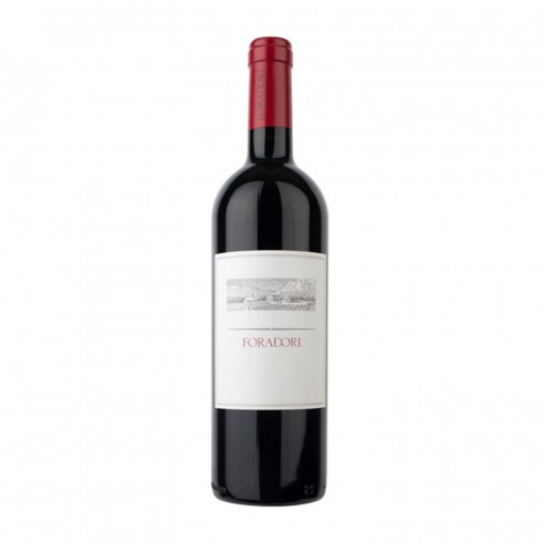 FORADORI TEROLDEGO bio bd 75cl 2024 - FORADORI