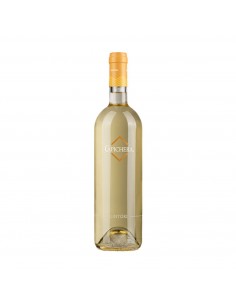 LINTORI VERMENTINO DI SARDEGNA D.O.C. 75cl 2025 - TENUTE...