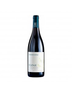 CESANESE DI OLEVANO SILENE 75cl 2025 - CIOLLI DAMIANO
