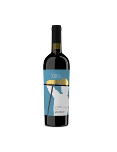 LACRIMA DI MORRO D'ALBA VILLA ANGELA 75cl 2023 - VELENOSI