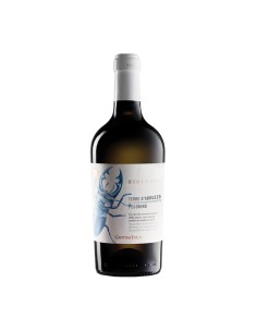 PECORINO INSETTI bio 75cl 2025 - CANTINE TOLLO