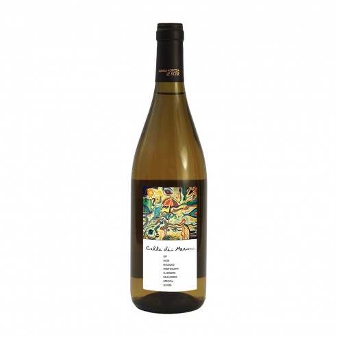 COLLE DEI MARMI bio 75cl 2024 - LE ROSE
