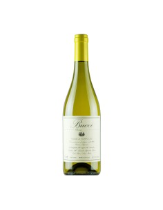 VERDICCHIO CLASSICO SUPERIORE BUCCI bio 75cl 2025 - BUCCI