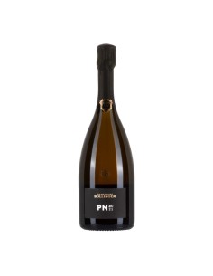 BRUT PN AYC21 PINOT NOIR 75cl - BOLLINGER