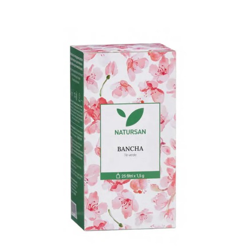 TE' VERDE BANCHA 25 filtri - NATURSAN