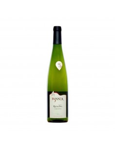 RIESLING SALON DES BAINS no so2 75cl 2017 - BINNER