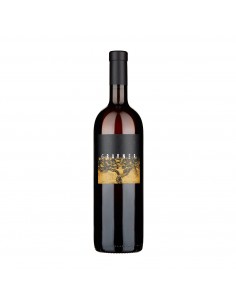 RIBOLLA GIALLA 1,5lt AST 2012 - GRAVNER