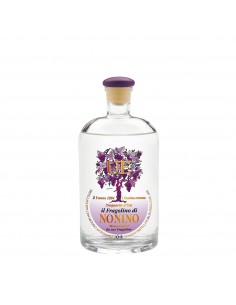 UE FRAGOLINO VIGNETI 70cl  - NONINO