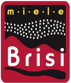 BRISI