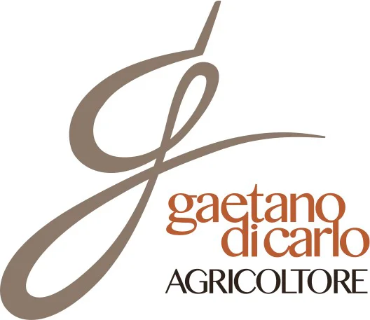DI CARLO GAETANO