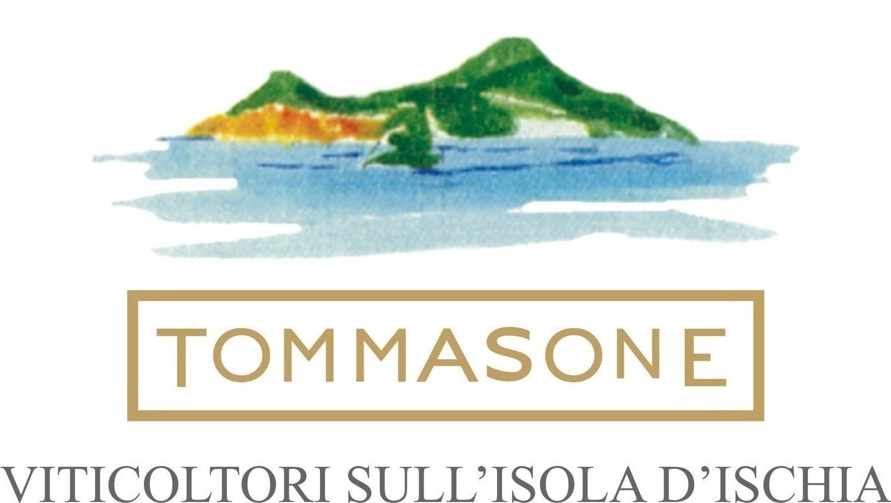 TOMMASONE