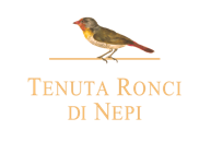 TENUTA RONCI DI NEPI
