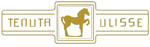 TENUTA ULISSE