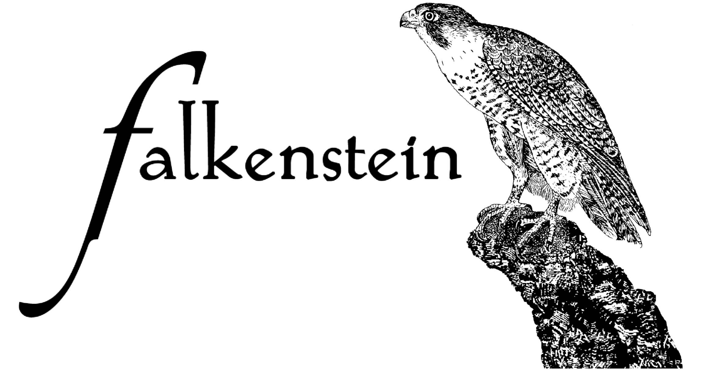 FALKENSTEIN