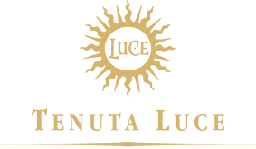 TENUTA LUCE - FRESCOBALDI