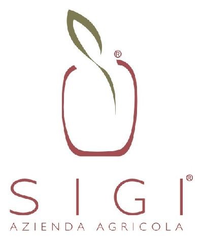 SI.GI.