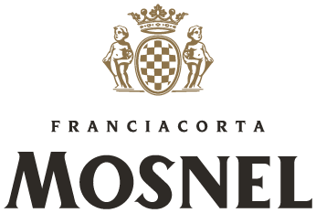 IL MOSNEL