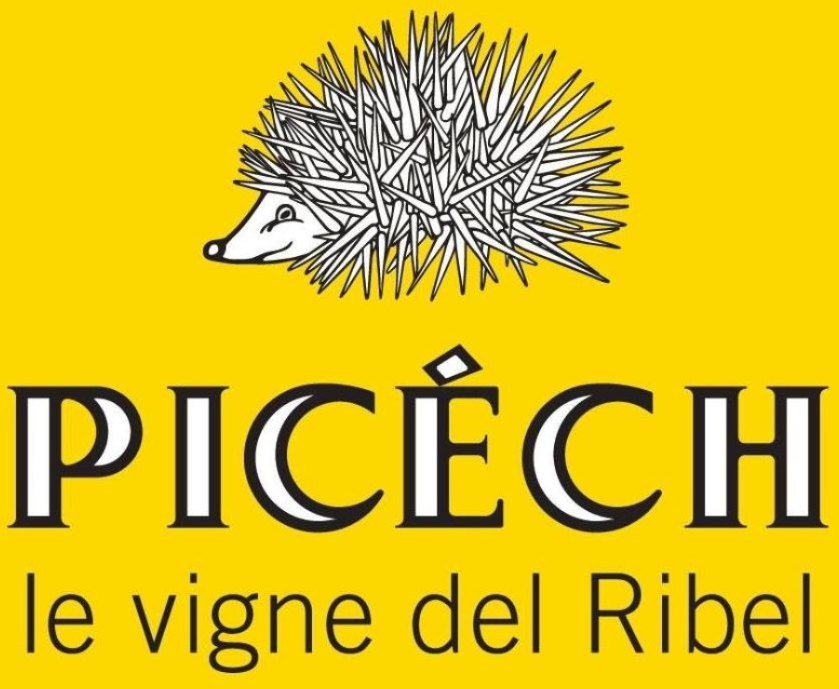 PICECH
